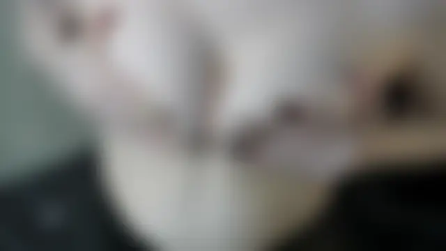 Bilik Sembang Langsung NicoleBryd