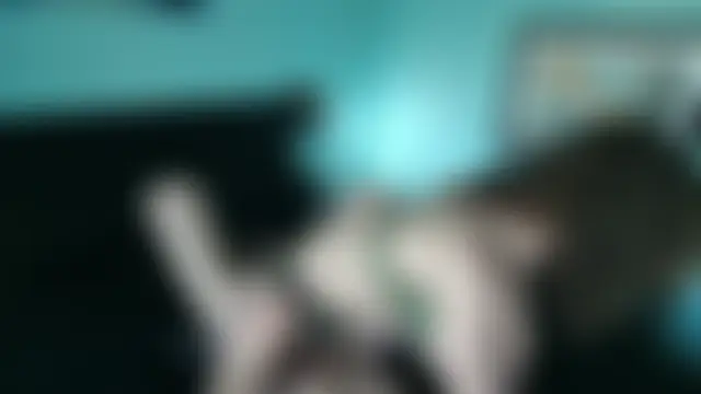 Prxscillia_Tx: вебкам-шоу