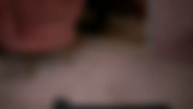 JullyFox 실시간 채팅방