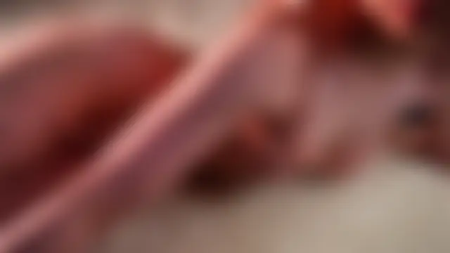 Chat soba uživo modela EdlinAlliston