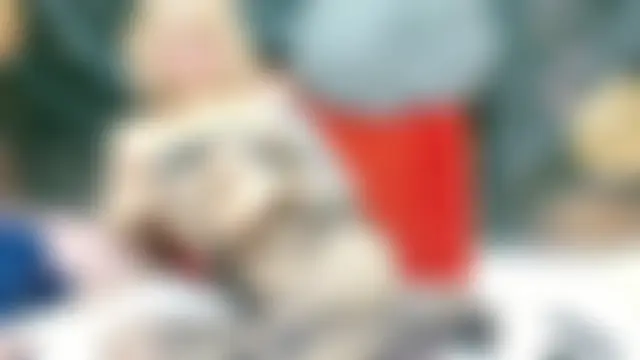 kimagure-fu- Adlı Modelin Canlı XXX Sohbeti