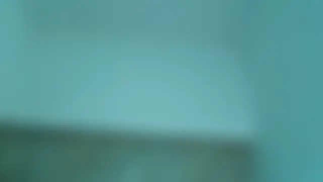 Dixie_grey1 লাইভ XXX চ্যাট