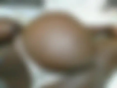 Dizzydose – Naživo chatovacia miestnosť