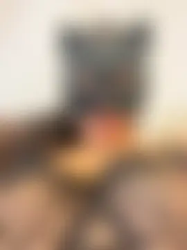 Sala de chat en directo de nursen31