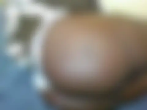 Sala de chat ao vivo de bransah