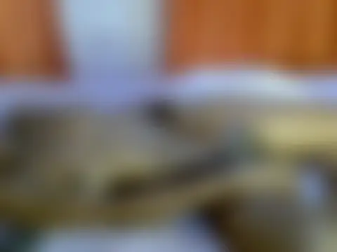 Živá chatovací místnost weusi12wetu