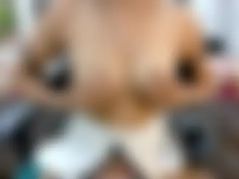 Živá chatovací místnost Sneha_18Years