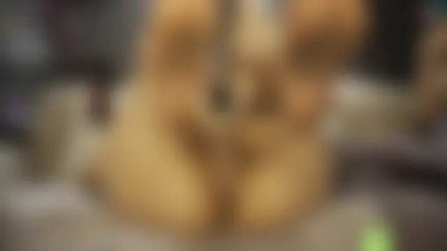 Black_and_Wh1te Ruang Obrolan Langsung