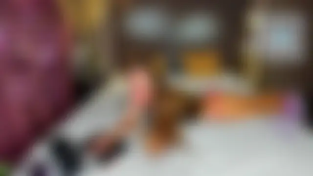 Aly_Alyc 실시간 채팅방