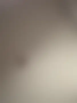 Andrestarr 실시간 채팅방