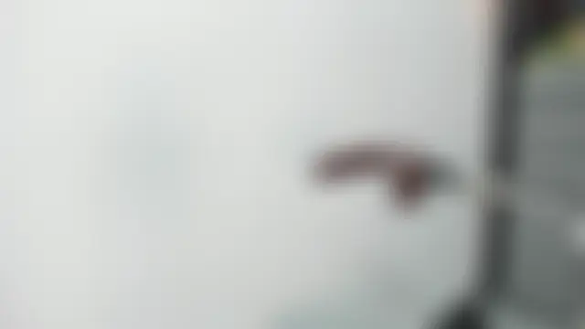 Angie_Will Cameră chat live