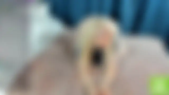 Tasty_booty 실시간 채팅방