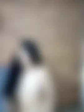 MiaForever1 실시간 채팅방