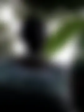 Show webcam de holygrail001