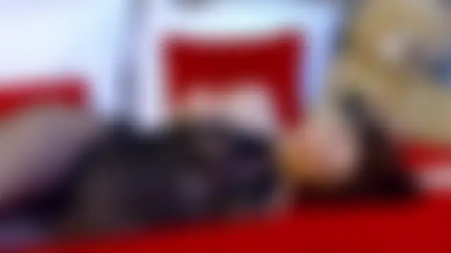 DesireMilf – Naživo chatovacia miestnosť