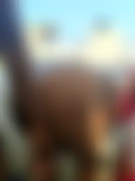 Show Webcam de Desicouple1706