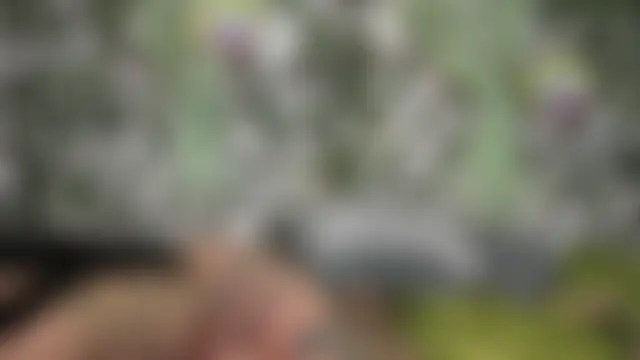 LittlePeach_ live-chat rom