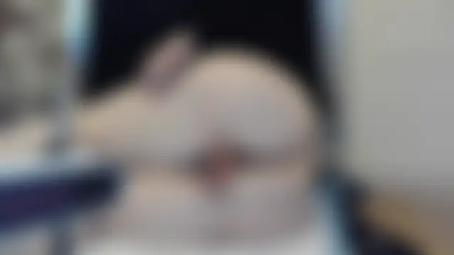 ada_in_europe – Kamerová šou