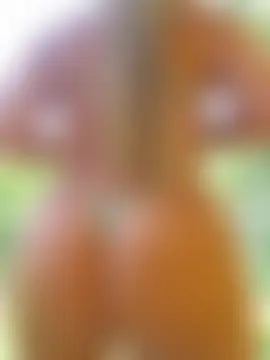 غرفة دردشة anita1976 المباشرة