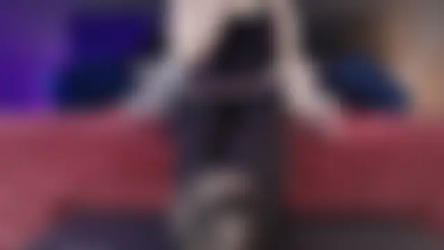 Chat +18 de _Jade_16 ao vivo