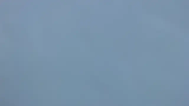 carolina_zabala_19のライブチャットルーム