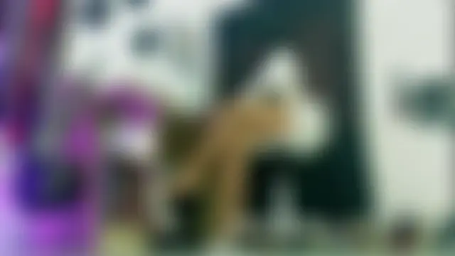 myla_sarah Ruang Obrolan Langsung