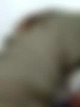 Онлайн чат xpihu