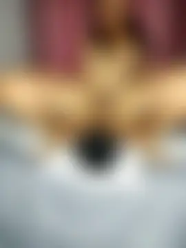 Carlandelli1 webkamerás műsora