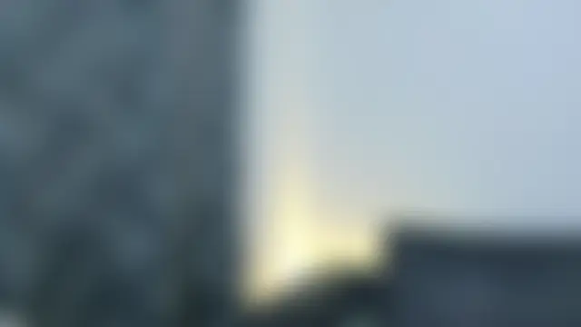 Misscarolsph: онлайн-чат