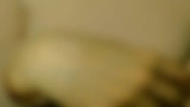 LorraineOSun Live Chatrum