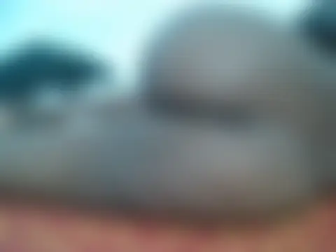 Rato250 Cameră chat live