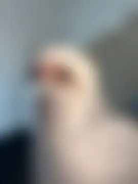 rashaaa_ élő chatszobája