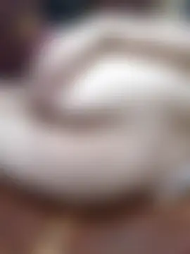 2_sexxx Adlı Modelin Canlı Sohbet Odası