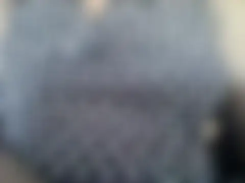 zee66658 Ruang Obrolan Langsung