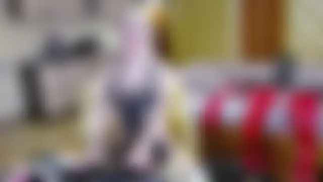 Chat soba uživo modela DomCaprisse