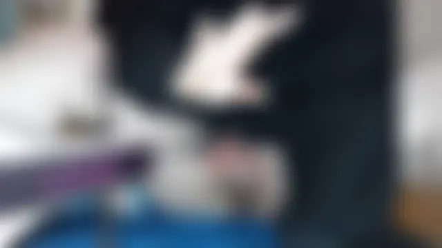 ada_in_europen Live XXX chat