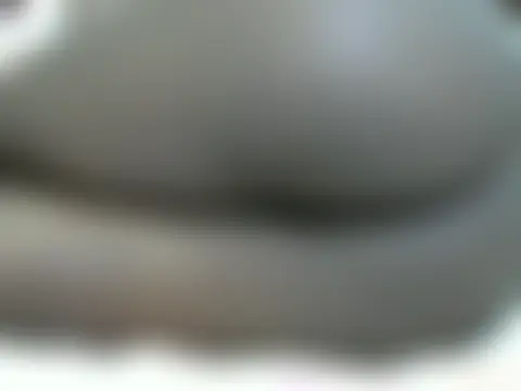 Chat ao vivo de sweet_veebouset