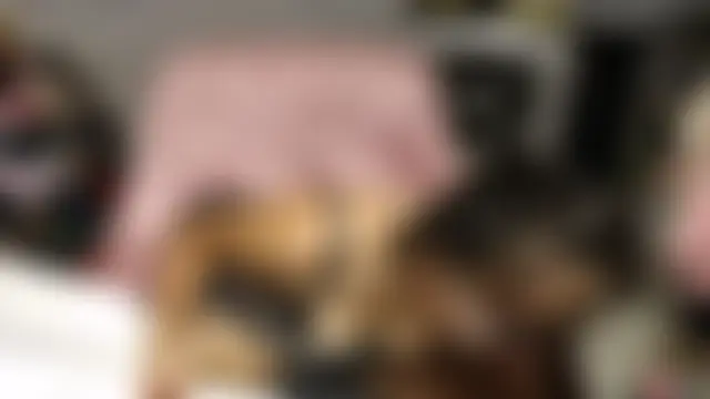 1CuteAndSexy69: δωμάτιο απευθείας συνομιλίας