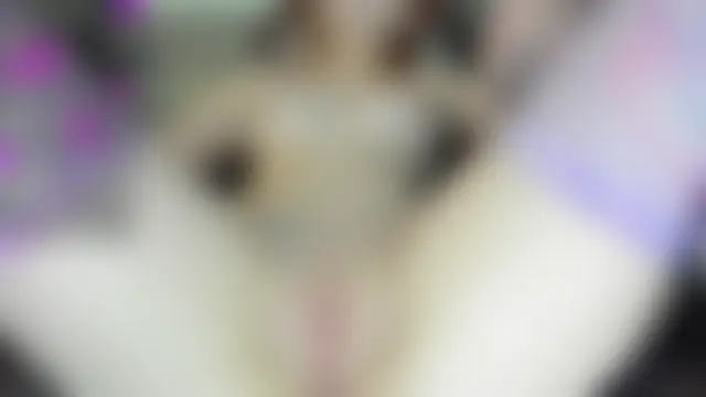 Show Webcam de kisssiiik