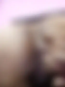 Gullapi Show in webcam