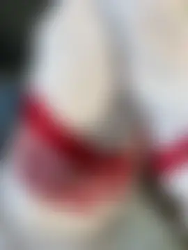 Bastet Pertunjukan Webcam