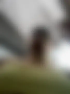 Sala de chat ao vivo de Kaily_Sweet16