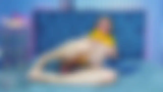 geminis_milf Live Chatraum