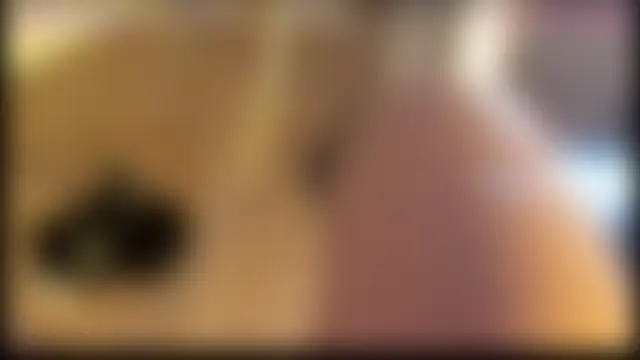 Živá chatovací místnost altertyan