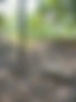 Онлайн чат Ruby_Lucy