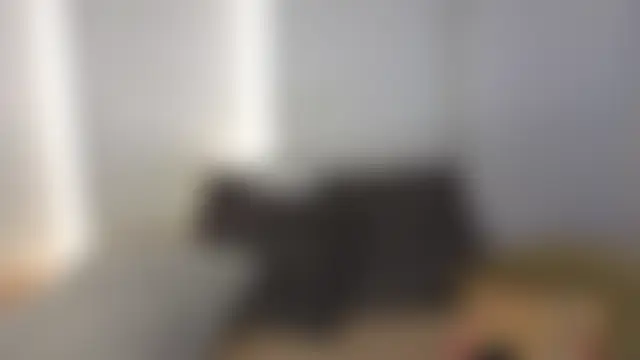 Онлайн чат Chel_Stone