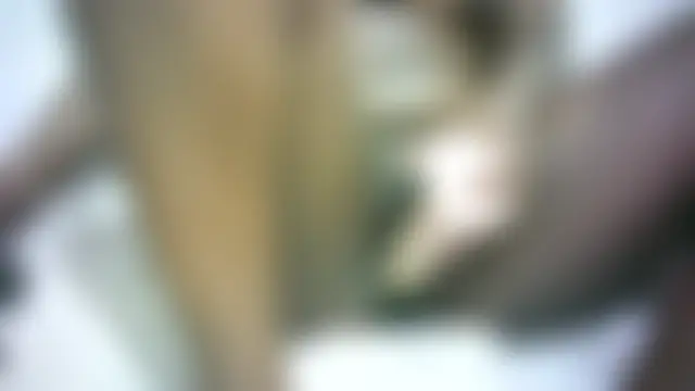 Онлайн чат Sweet800