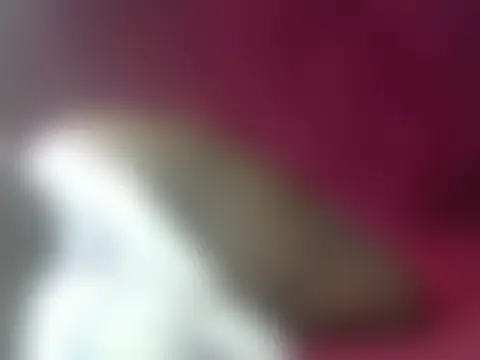 Show Webcam de LowKeyWild_