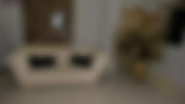 Živý XXX chat ArianaNova