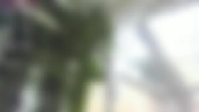 Lexi_Storm লাইভ চ্যাট রুম